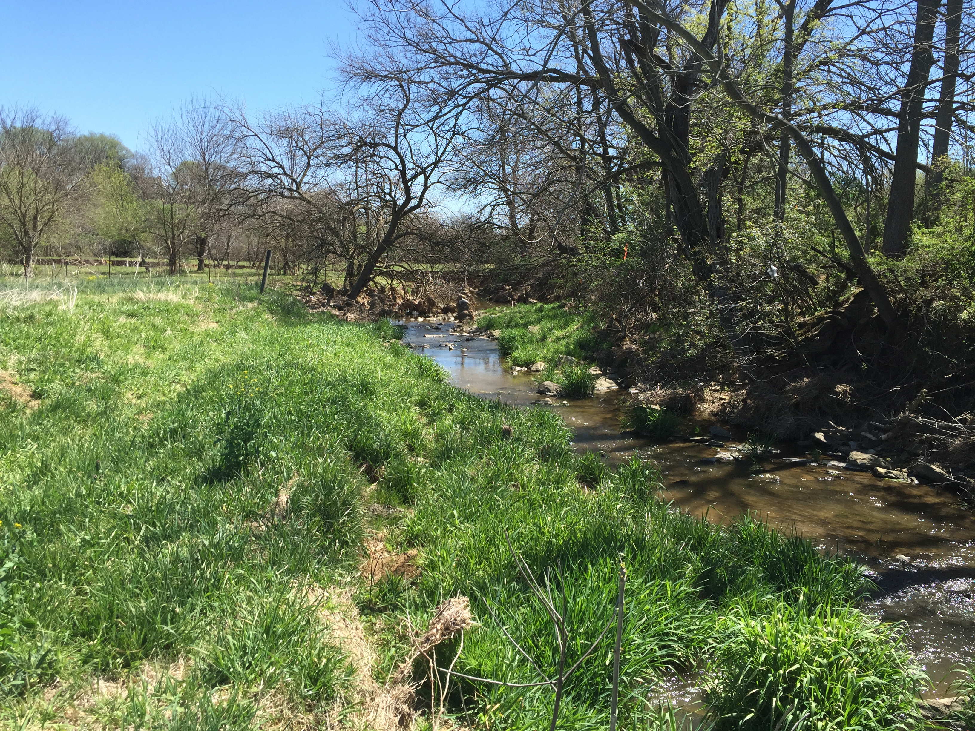 Field photo showing stream conditions at site PRFR-204-X-2016_midpoint upstream